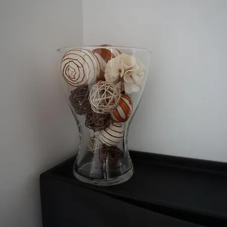 Apartman Tip #3 Fiume